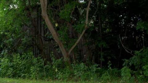 Vroom Vroom - Vroomanton-(ghost-town)13.jpg