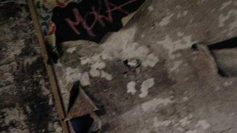 Camp 30 (May 2015) - Camp-30-Bowmanville905.jpg