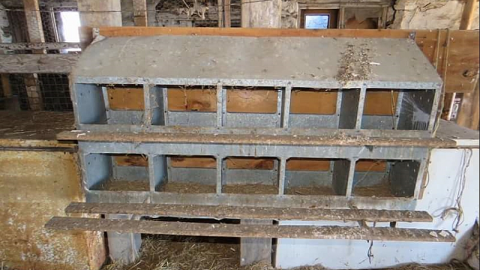 Forbidden Farm - Screenshot_2015-05-21-09-45-27-1.png