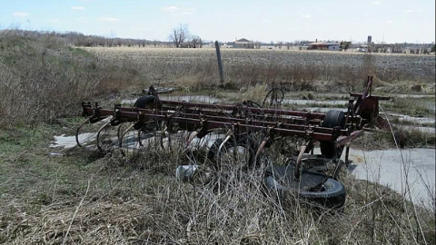 Photo from Forbidden Farm