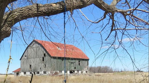 Forbidden Farm - Screenshot_2015-05-21-09-40-05-1.png