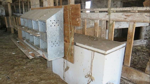 Forbidden Farm - Screenshot_2015-05-21-09-39-45-1.png