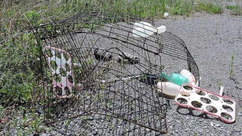 Dead End - Dead-End-Farm14.jpg