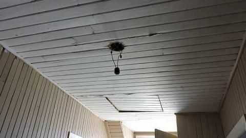 Dead End - Dead-End-Farm23.jpg