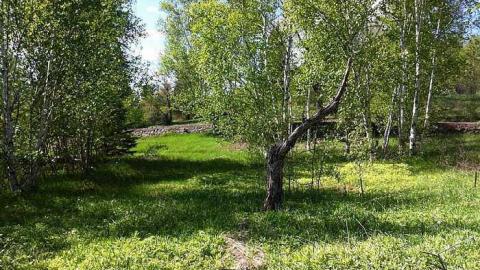 Gallery 2 - Ye-Ol-Ghost-Town33.jpg