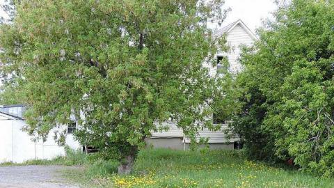 Make Room For Condos photo 5