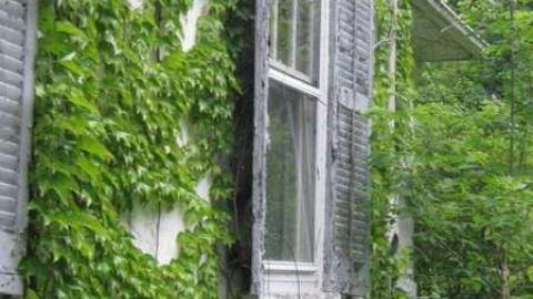 Neighbour 1 - Niagara Falls 067.jpg