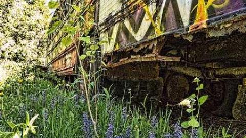 Niagara Paint Ballers - IMG_3237-Edit-1.jpg