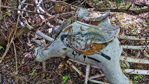 Amused but Abandoned - Wet-And-Wild-Waterpark251.jpg