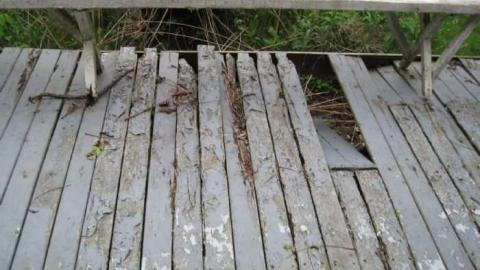 Neighbour 1 - Niagara Falls 296.jpg