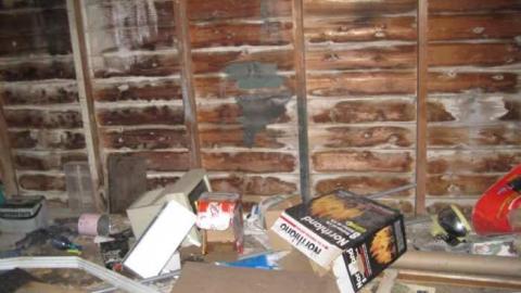 Neighbour 1 - Niagara Falls 305.jpg