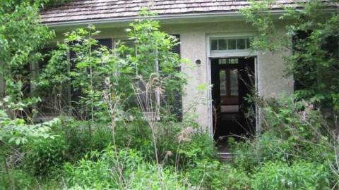 Neighbour 2 - Niagara Falls 310.jpg