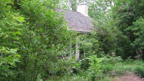 Neighbour 2 - Niagara Falls 074.jpg