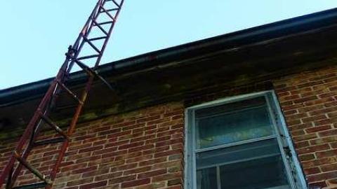 May 2015 - To-Be-Or-Not-To-Be4.jpg