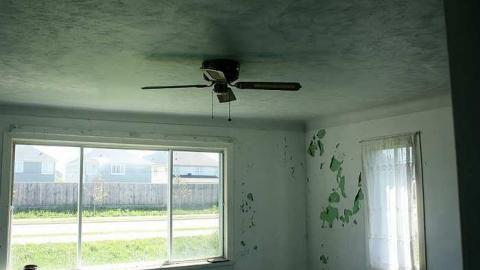 May 2015 - A-Hitachis-Future-Dinner16.jpg