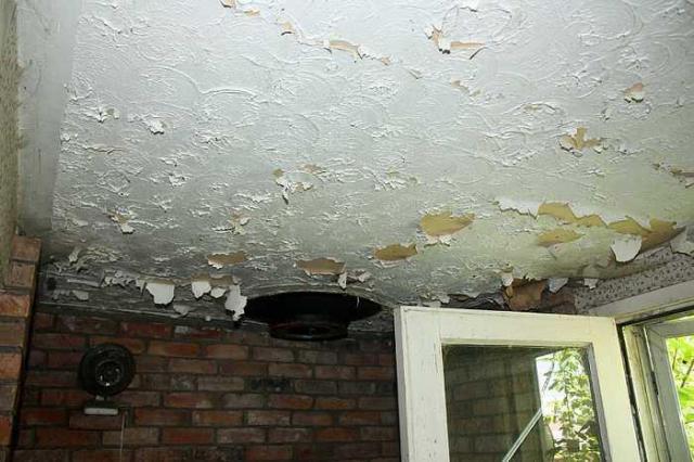 Tattered Flag photo 5