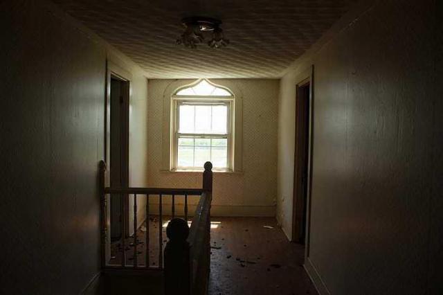 Tattered Flag photo 3