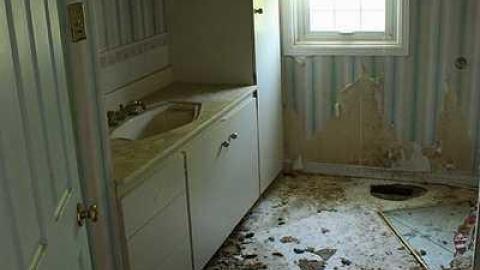 May 2015 - 23May-15C 118.jpg