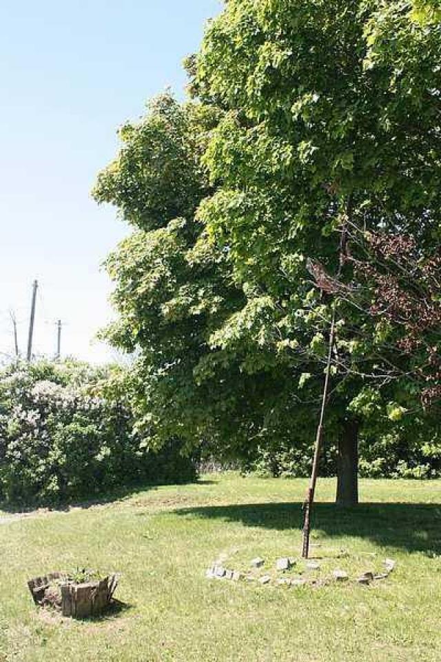 Tattered Flag photo 3