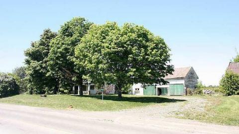 May 2015 - 23May-15C 176.jpg