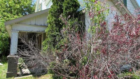 May 2015 - 23May-15N 006.jpg