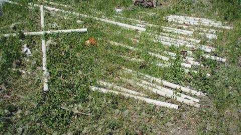 May 2015 - 23May-15N 016.jpg