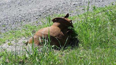 May 2015 - 23May-15N 051.jpg