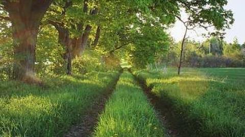 Photo from Crumbling Farm House