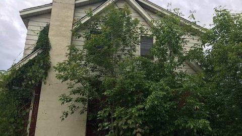 Top of the Mountain photo 4