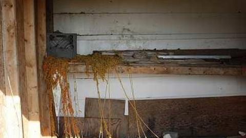 May 2015 - Elmvale-Drive-In111.jpg