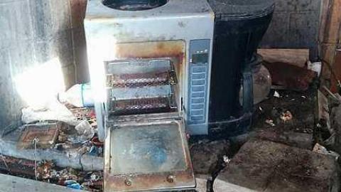 RV Homestead - 10306721_10152831738851084_6075761413025890748_n.jpg