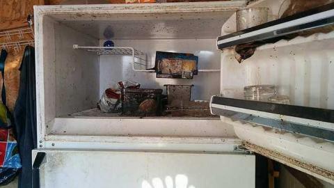 Pickering RV Homestead photo 2