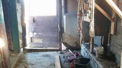 Pickering RV Homestead photo 3