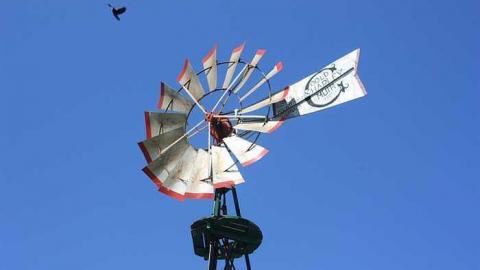 May 2015 - Gagnon-(Ghost-Town)19.jpg