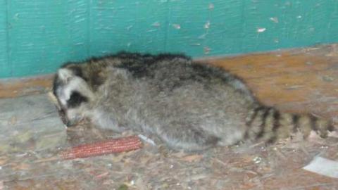 New Tec farmhouse - New-Tec-farmhouse21.jpg