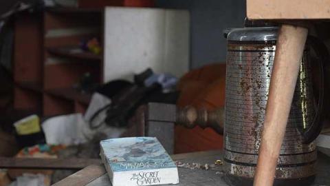 Stuffed Animals Everywhere - DSC_0035.jpg