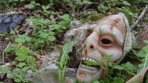 Photo from Stuffed Animals Everywhere