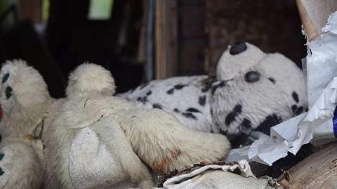 Stuffed Animals Everywhere - DSC_0039.jpg