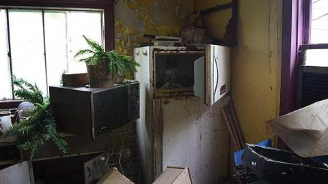 Stuffed Animals Everywhere - DSC_0042.jpg