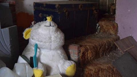 Photo from Stuffed Animals Everywhere