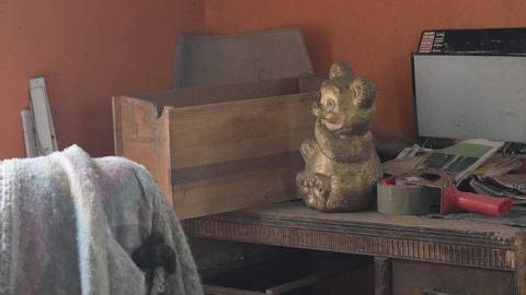 Stuffed Animals Everywhere - DSC_0051.jpg