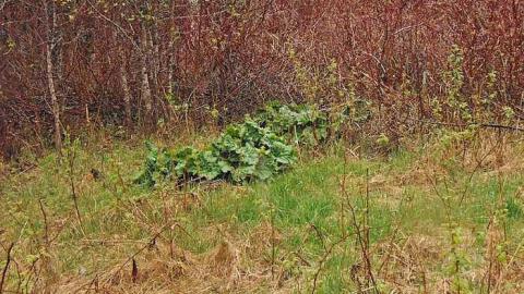 Motorcycle Farmstead - Motorcycle-Pioneer-Farm18.jpg