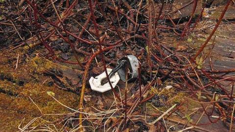 Motorcycle Farmstead - Motorcycle-Pioneer-Farm19.jpg