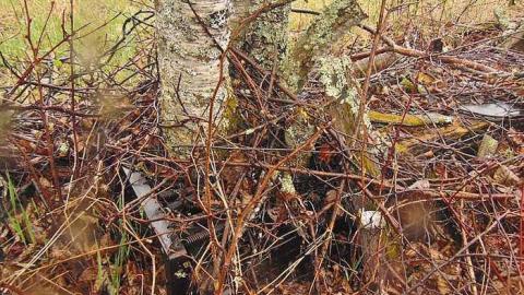 Motorcycle Farmstead - Motorcycle-Pioneer-Farm20.jpg