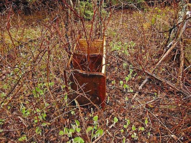 Motorcycle Pioneer Farm photo 4