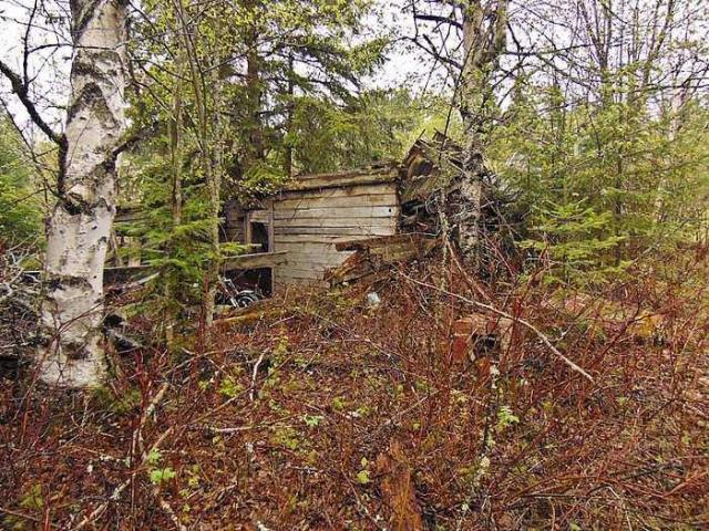 Motorcycle Pioneer Farm photo 5