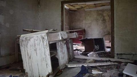 Bay Window Beauty - DSC_0054.jpg