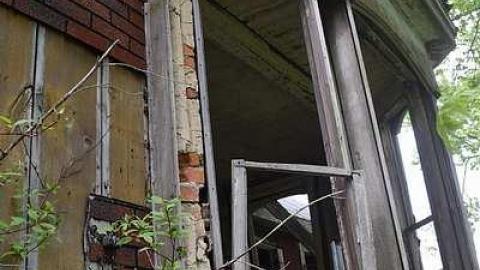 Bay Window Beauty - DSC_0055.jpg