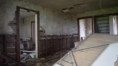 Bay Window Beauty - DSC_0056.jpg