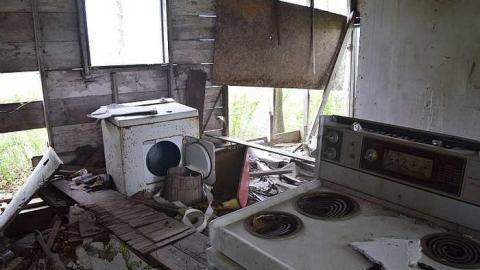 Bay Window Beauty - DSC_0057.jpg